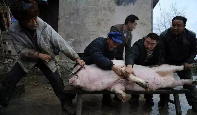 【民俗】西昌冬腊月的专属浪漫,是杀猪请客的烟火与温情‖难忆忆