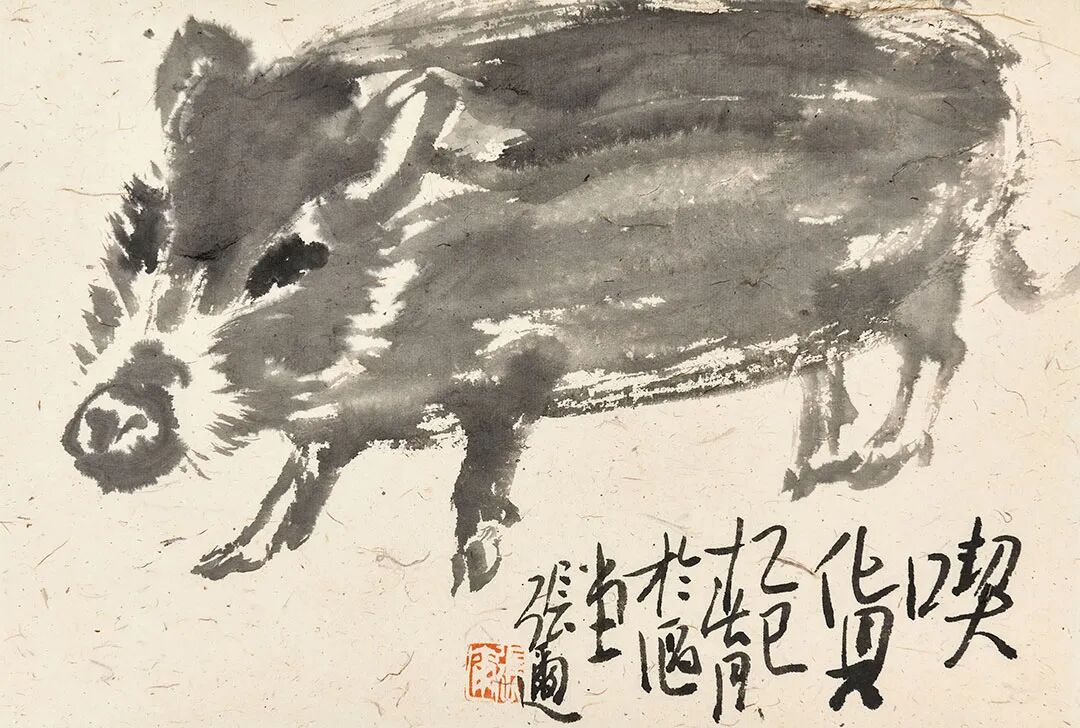 张迩的猪，有逸气