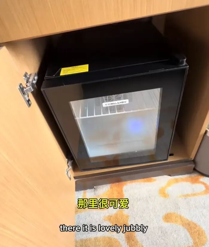 不止于冰雪：外国博主眼中的长春，是服务、美食与人文的“综合高分卷”