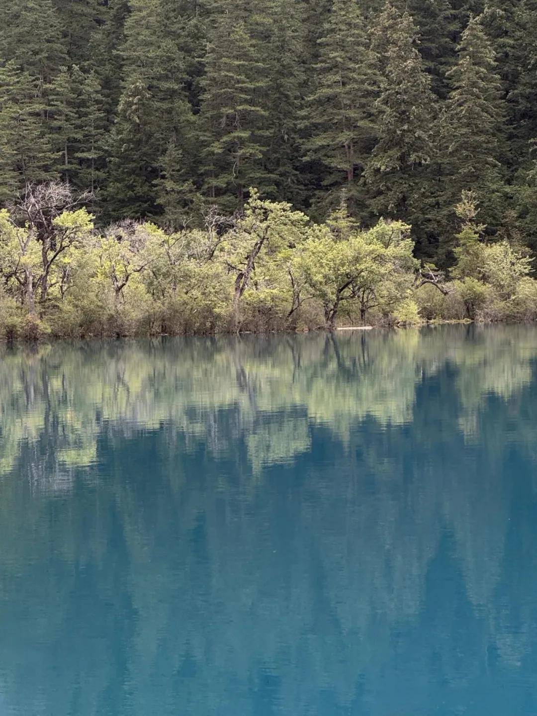 九寨情深·笔墨破局——蒋云龙写生中的“山水入画之思”