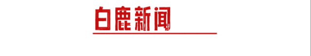 让腔调里的中国不再沉默:弋阳腔如何不再被低估? | 白鹿评论