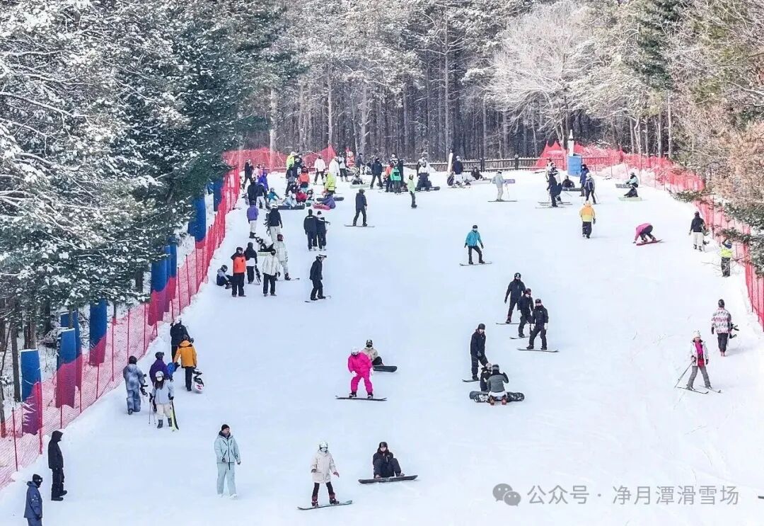新春“马”上到,营业时间请收好