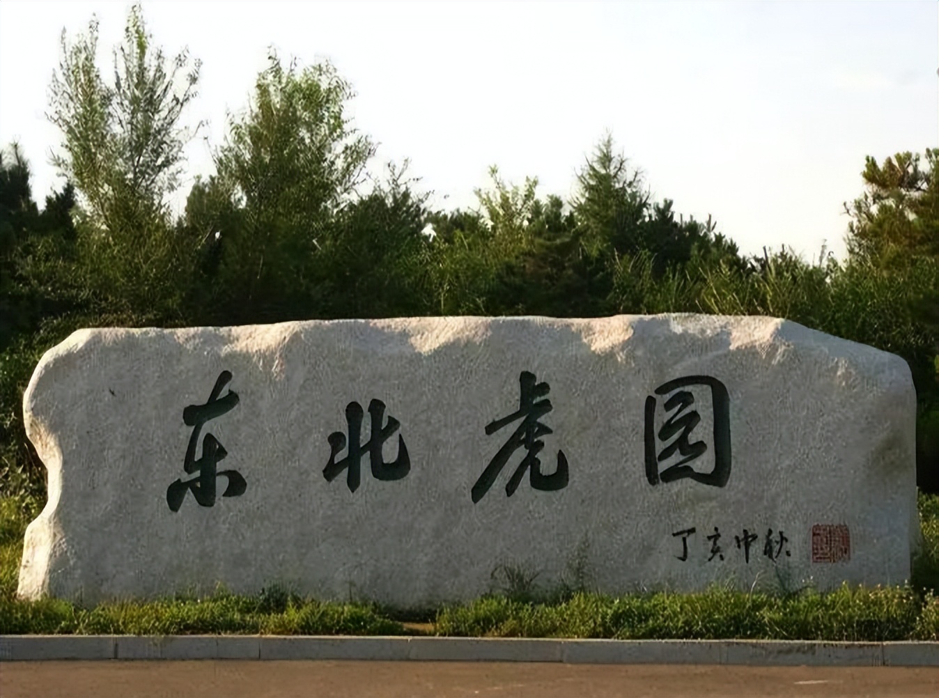 新春“马”上到,营业时间请收好