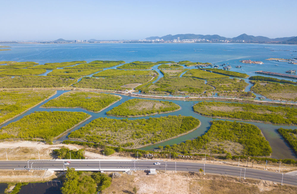 去海南自驾？这篇环岛旅游公路攻略快收藏！