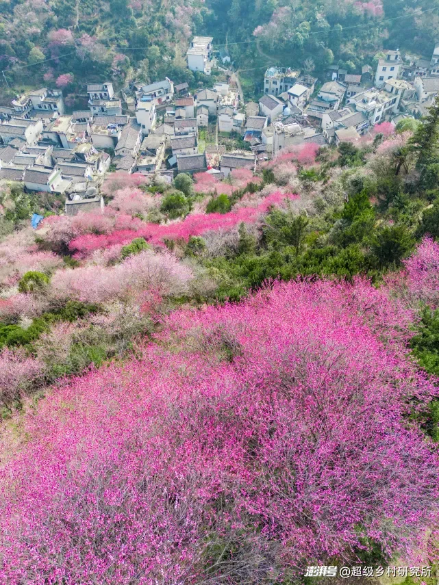中国最鲜活的年味,藏在安徽这座小城的6个古村古镇里