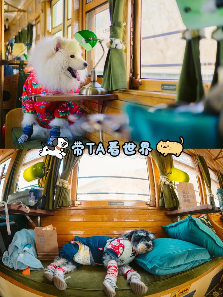 长春这处超人气网红打卡地，又添新惊喜！