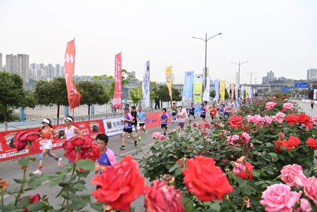 青衿之约 共赴沙磁 2026西南证券重庆沙坪坝半程马拉松暨第二届校友半程马拉松燃情开跑
