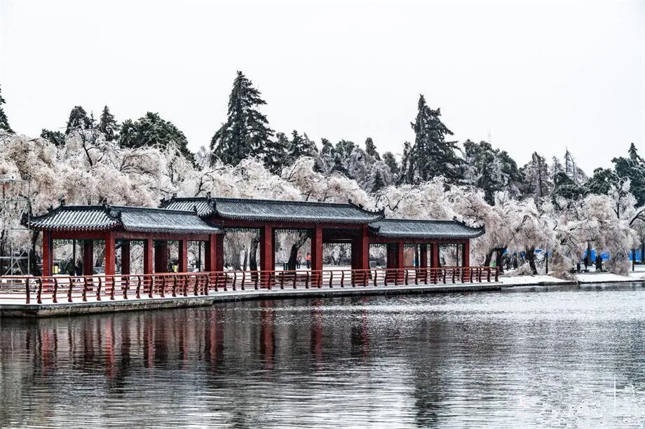 走进长春网红打卡地——南湖公园