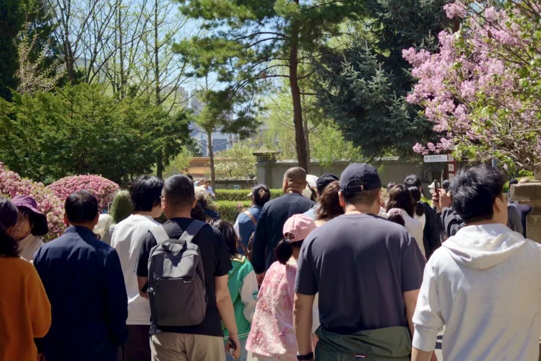 拿捏时机！现在去正是颜值巅峰期