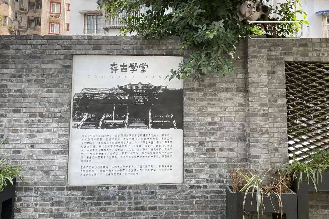 【记忆】值得逛!City Walk华西坝||王 欣