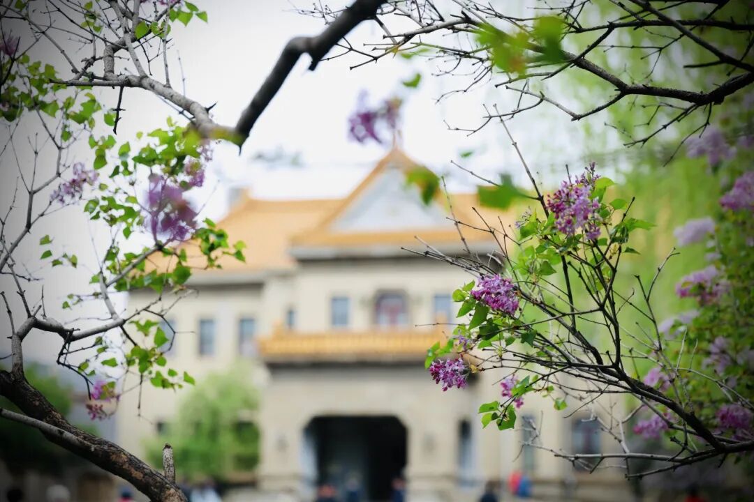 长马倒计时|本地人私藏慢逛点位全攻略