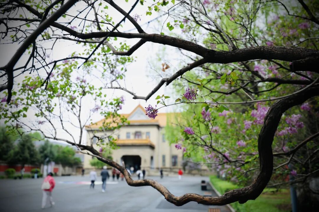 长马倒计时|本地人私藏慢逛点位全攻略