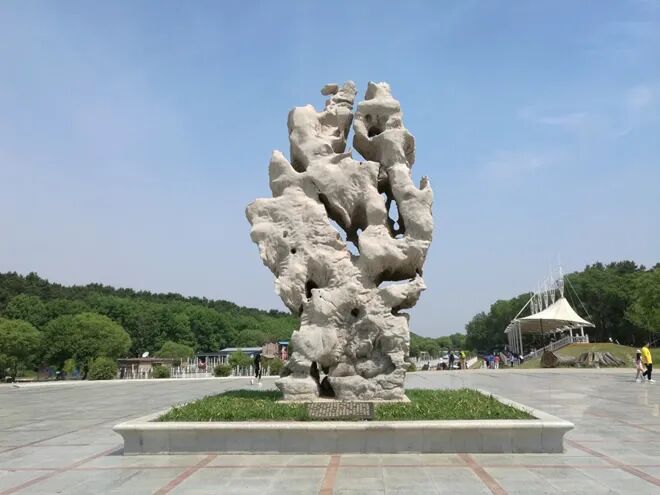 走进长春网红打卡地——东北虎园