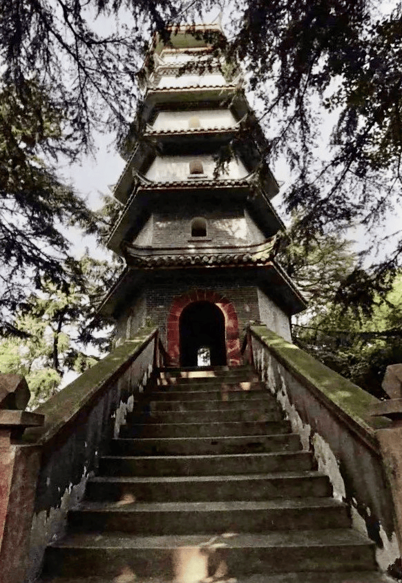 【美丽四川】成都市区有一座山,叫武担山||王欣