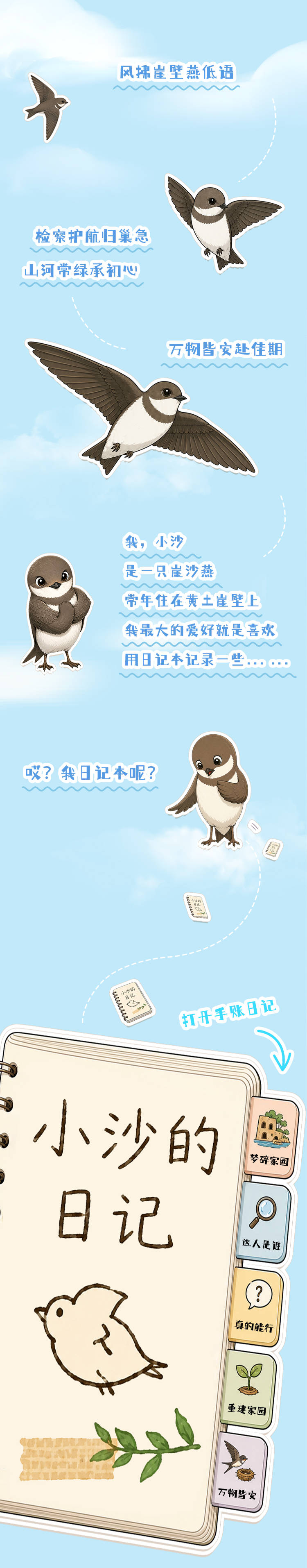 【世界环境日】崖沙燕的手账日记