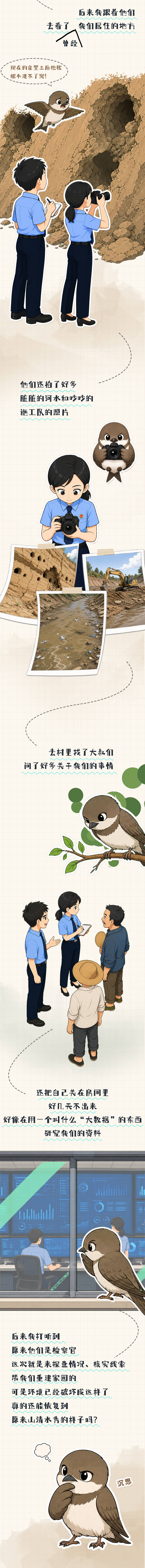 【世界环境日】崖沙燕的手账日记