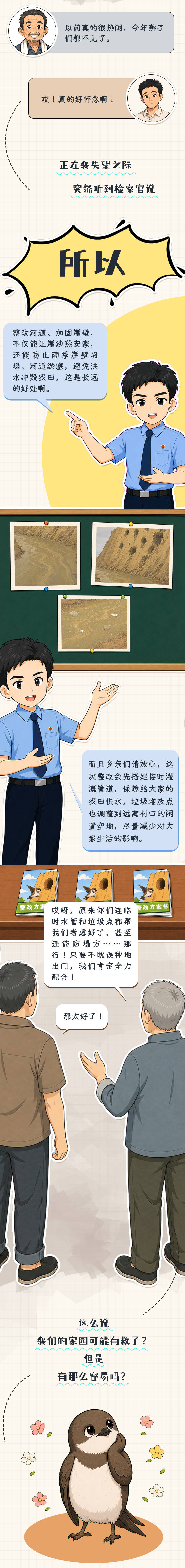 【世界环境日】崖沙燕的手账日记