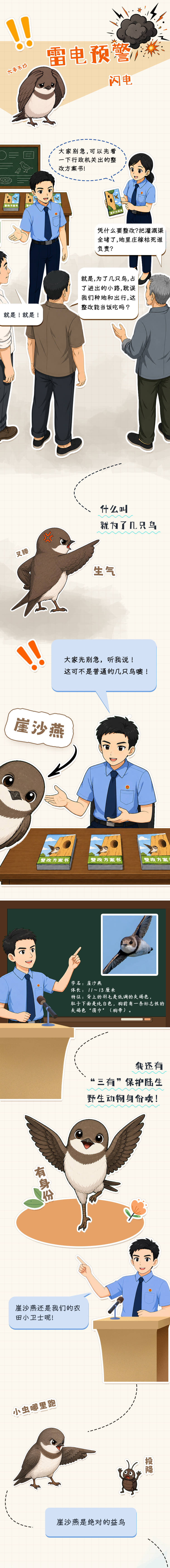 【世界环境日】崖沙燕的手账日记