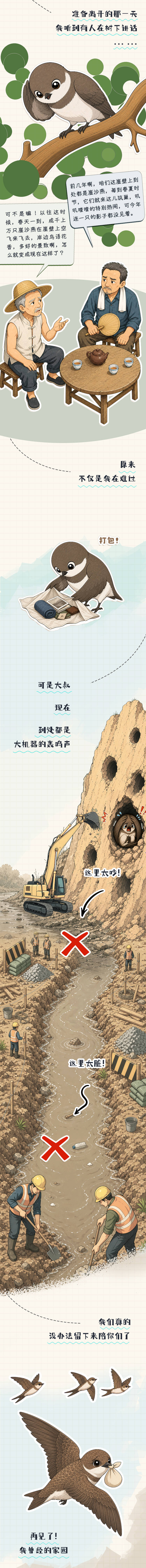 【世界环境日】崖沙燕的手账日记