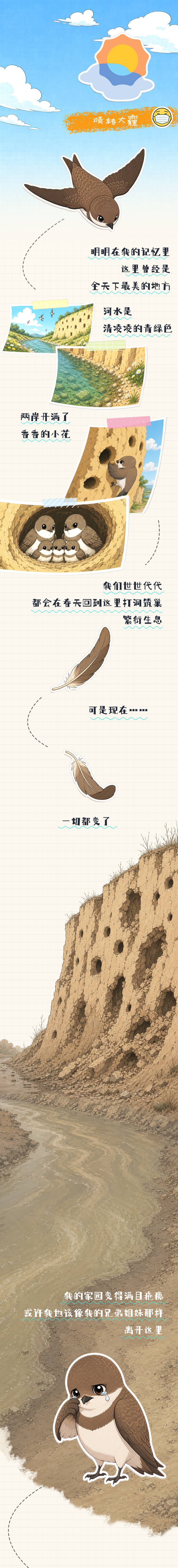 【世界环境日】崖沙燕的手账日记