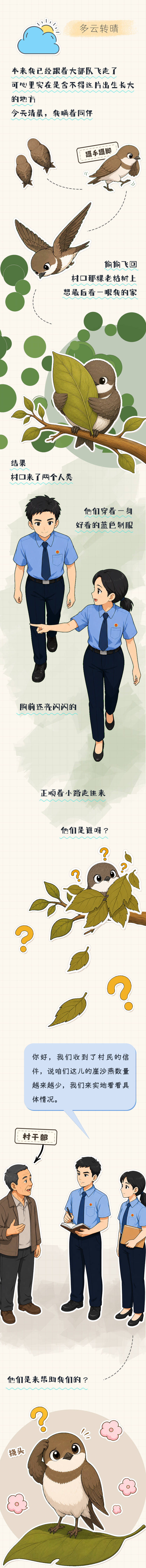 【世界环境日】崖沙燕的手账日记