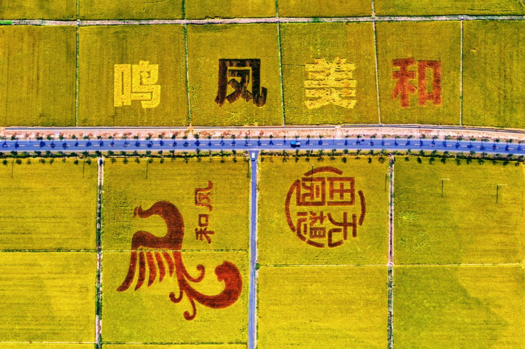 祝贺！溧水再添两个“国字号”
