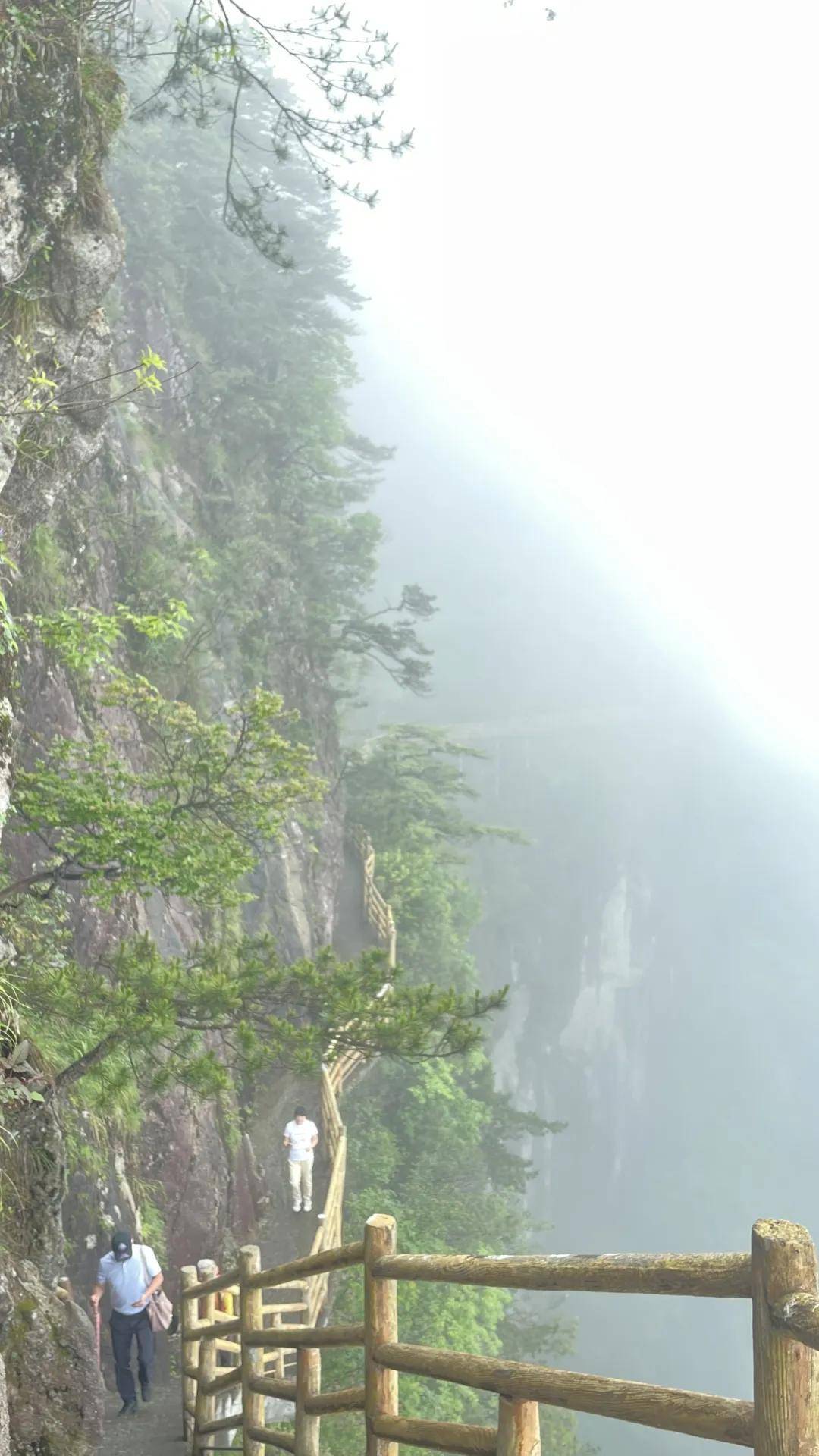 记忆冷却后,山魂唤醒——周波谈时隔两年创作明月山