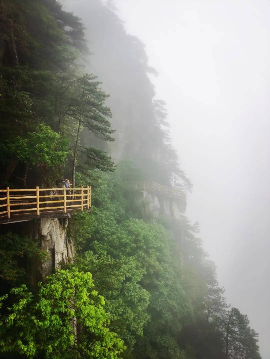 不负青云圣境,留住明月山魂——周波《穿星月幽境,步青云仙踪》品读