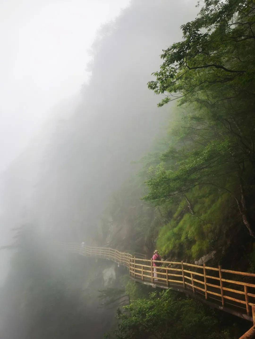 记忆冷却后,山魂唤醒——周波谈时隔两年创作明月山