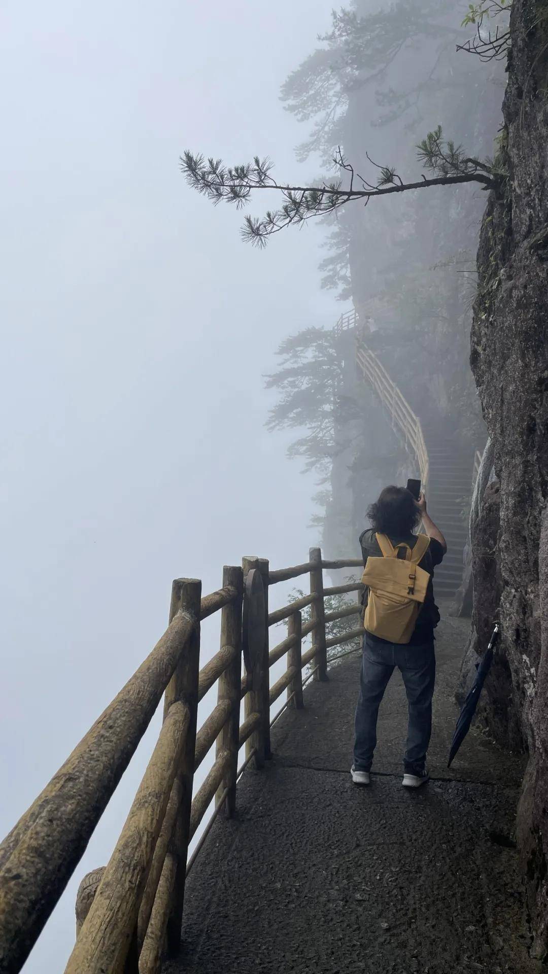 周波:什么是山水画的“气眼”?人在境中不觉我
