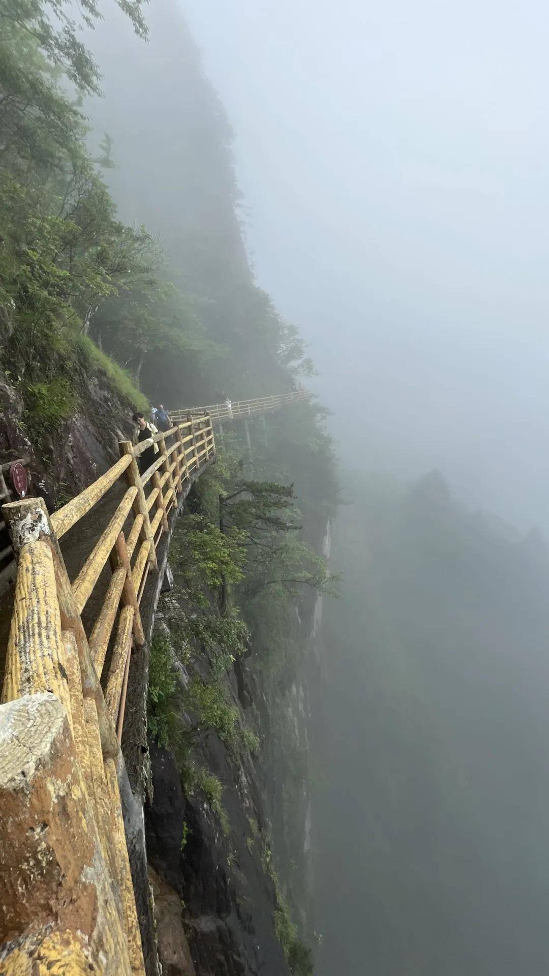 周波:什么是山水画的“气眼”?人在境中不觉我