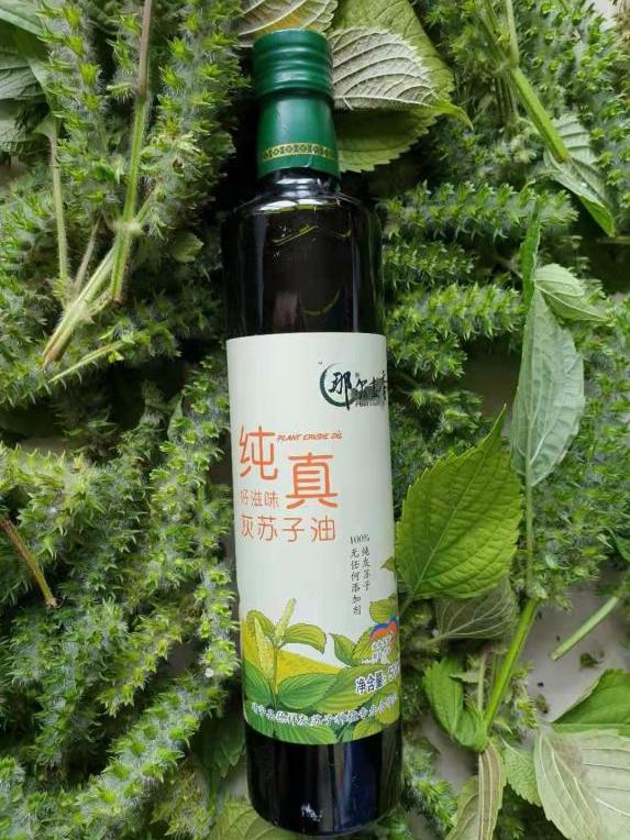 白山靖宇保姆级攻略！泛舟“醉”美松花江，吹天然空调