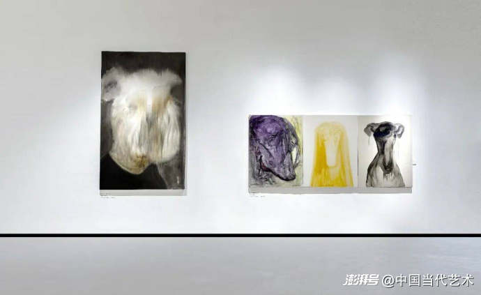 段文亮:“《谌多:笔下犬影,人间温柔》”