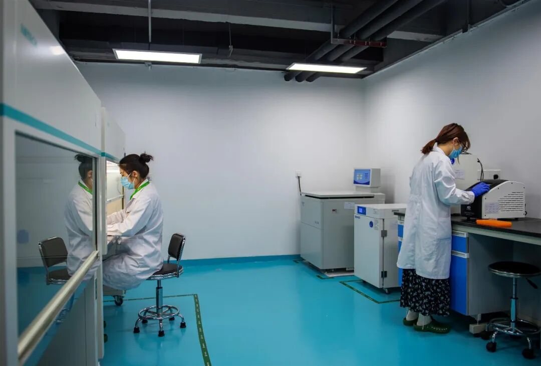 沙坪坝这家生物公司，拿下全球超级细菌疫苗难题！