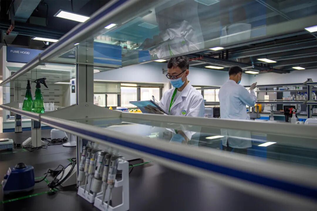 沙坪坝这家生物公司，拿下全球超级细菌疫苗难题！