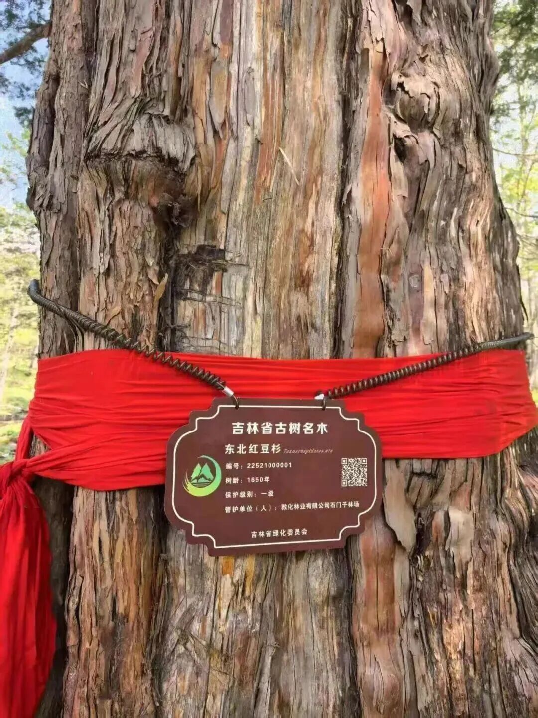 牡丹江的源头,原来藏在这座小城!