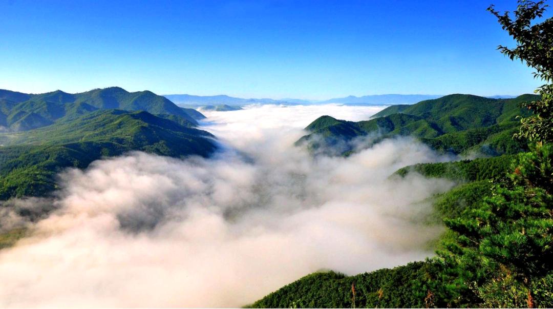 山野觅清凉！图们自带“天然空调”