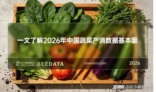 中国蔬菜产量破8.89 亿吨!山东产量第一