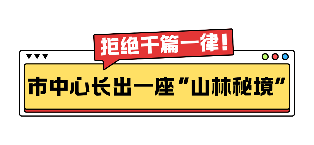 商务部点赞！长春这处网红地标到底有多好逛？
