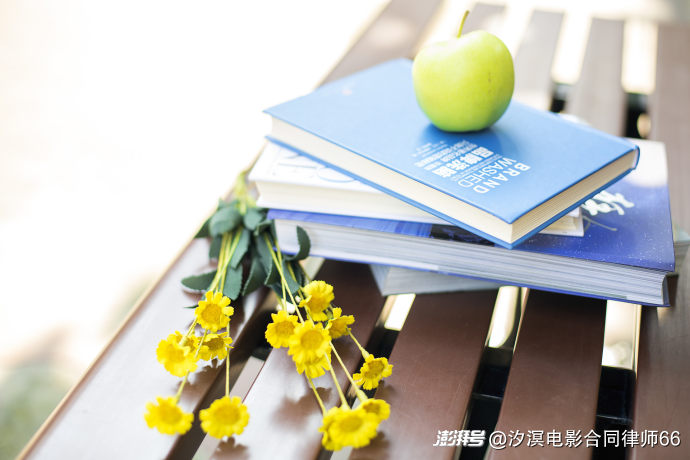 语言相同或相似时，如何抗辩不构成剽窃？（二）