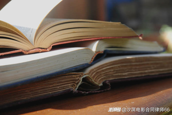 故事情节属于表达，但相同或相似不必然构成剽窃（三）