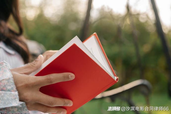 故事情节属于表达，但相同或相似不必然构成剽窃（三）