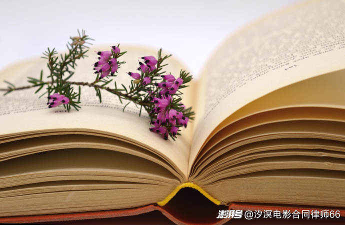 故事提纲、故事结构在认定剽窃中的作用（三）