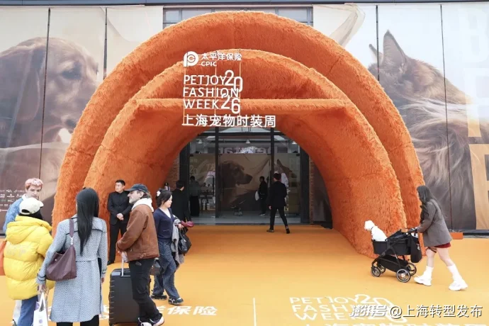 岗位增速碾压人工智能:宠物服务业抢人潮改写就业新版图