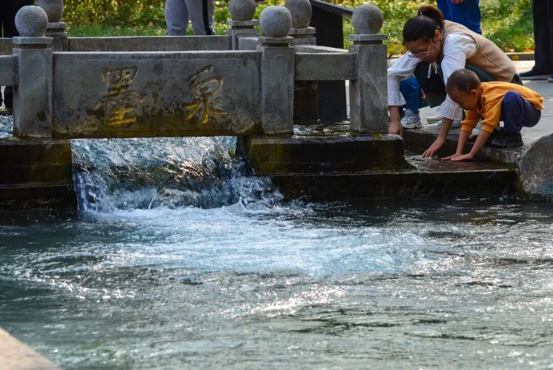 不用自驾！坐上济南西站直达明水古城专线，访易安、泡泉水一站式玩透