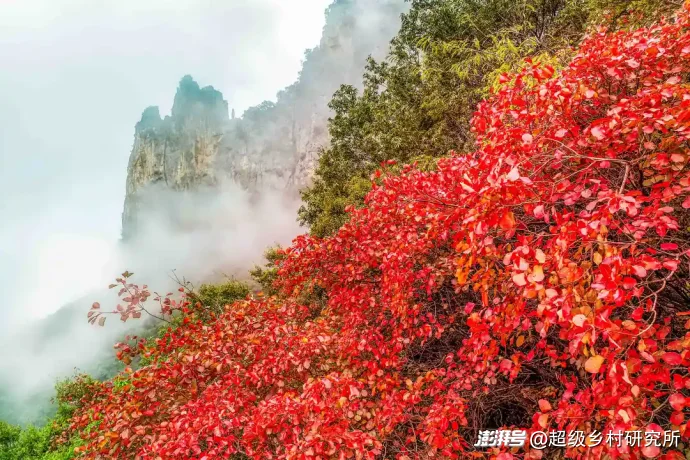 比重庆主城更8D魔幻的地方出现了！这里的人出门通勤靠电梯，用无人机送水果，在山顶建飞机场