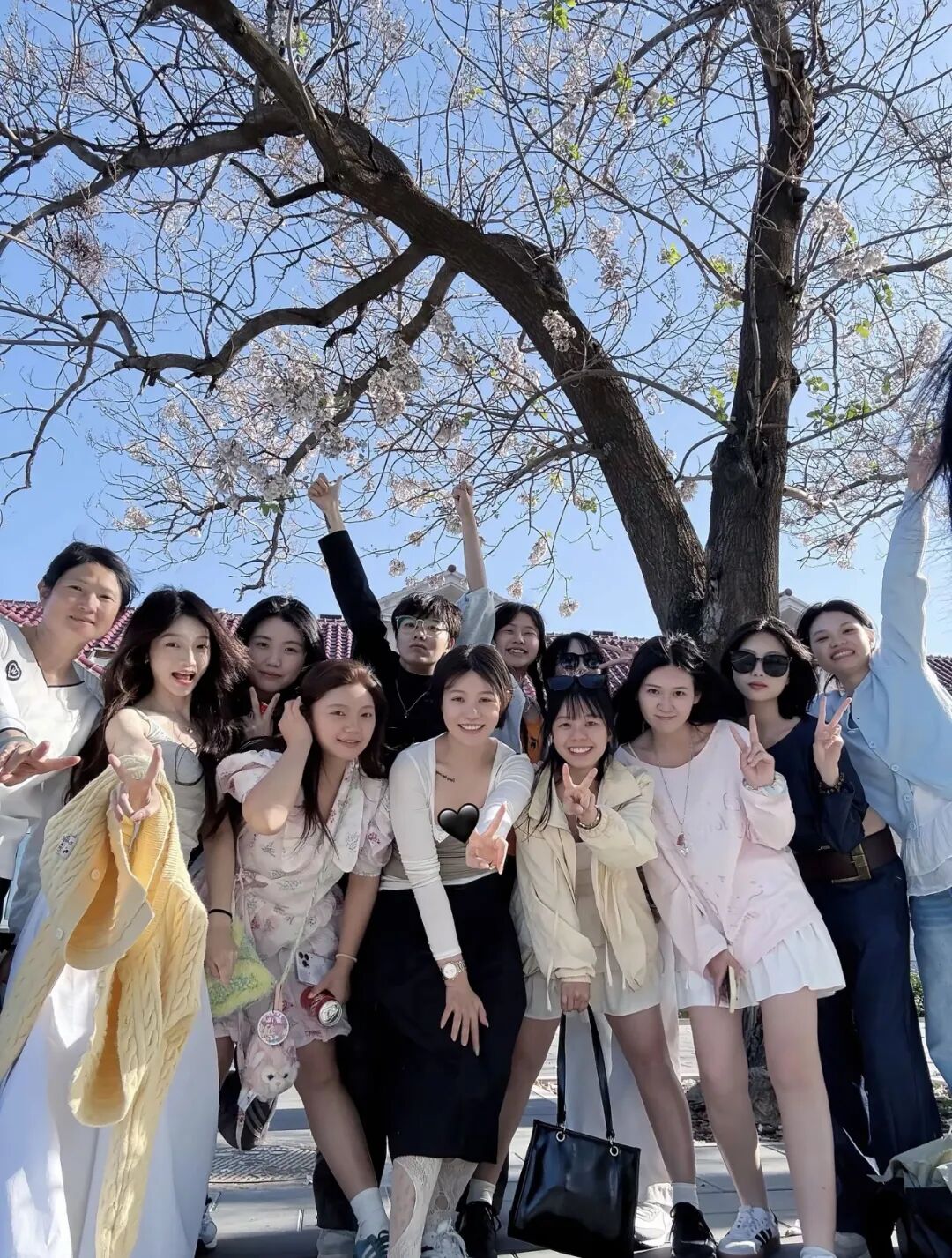 《被裁掉的女孩》导演菲菲飞:3.6亿播放后,我为什么没让方桃子大杀四方|深度专访
