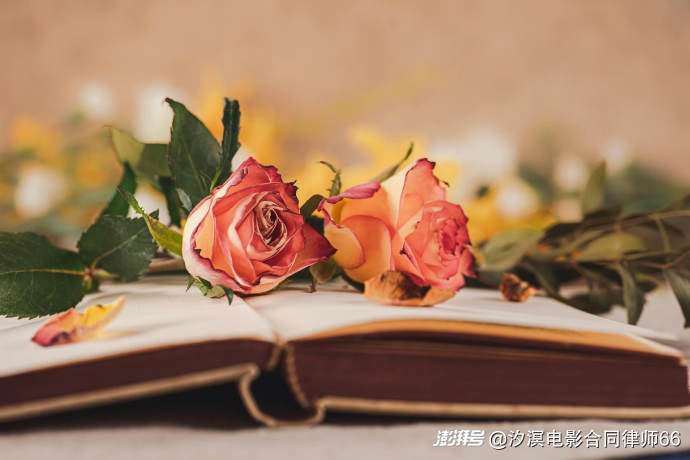 直接侵权和间接侵权有何区别？