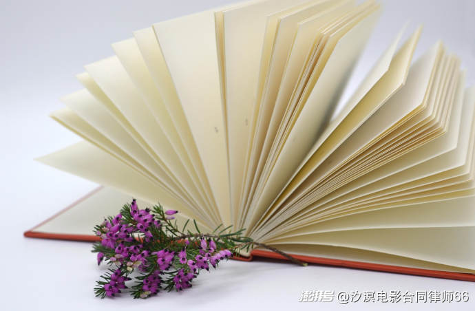直接侵权和间接侵权有何区别?