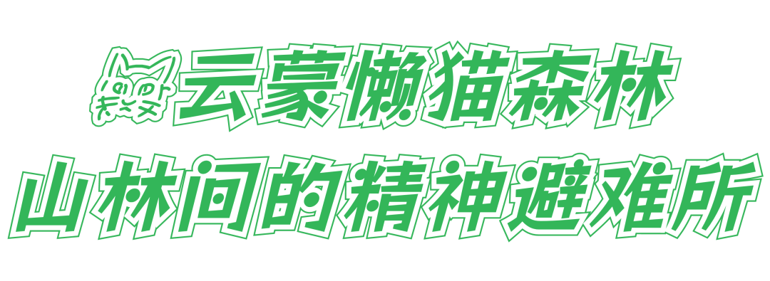 产业帮扶｜在21℃的云蒙里，做一日森林里的“溯溪小孩”
